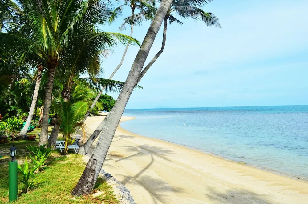 Green Coconut Village A1