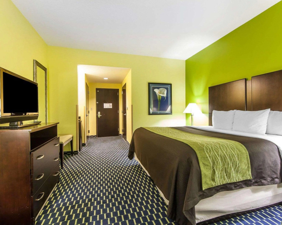 Comfort Inn Athens I - 75