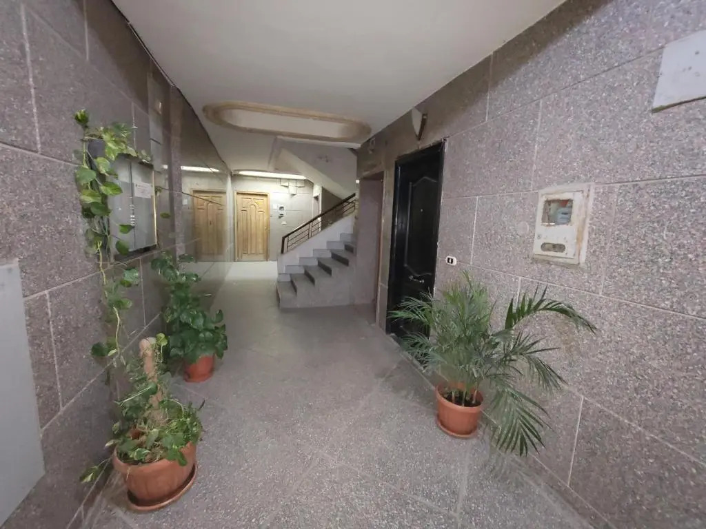 exceptional apartment