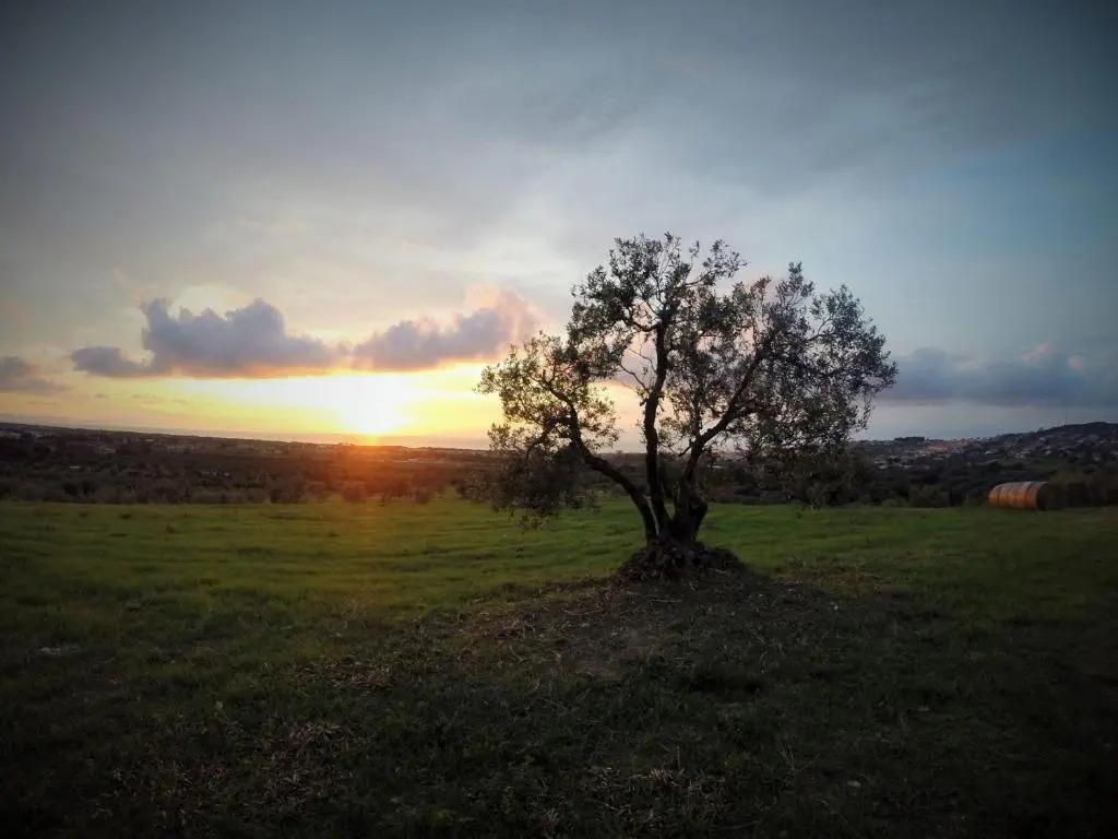 Agriturismo Podere LAgave