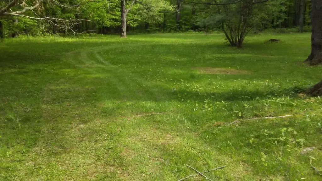 Catskill Motor Court