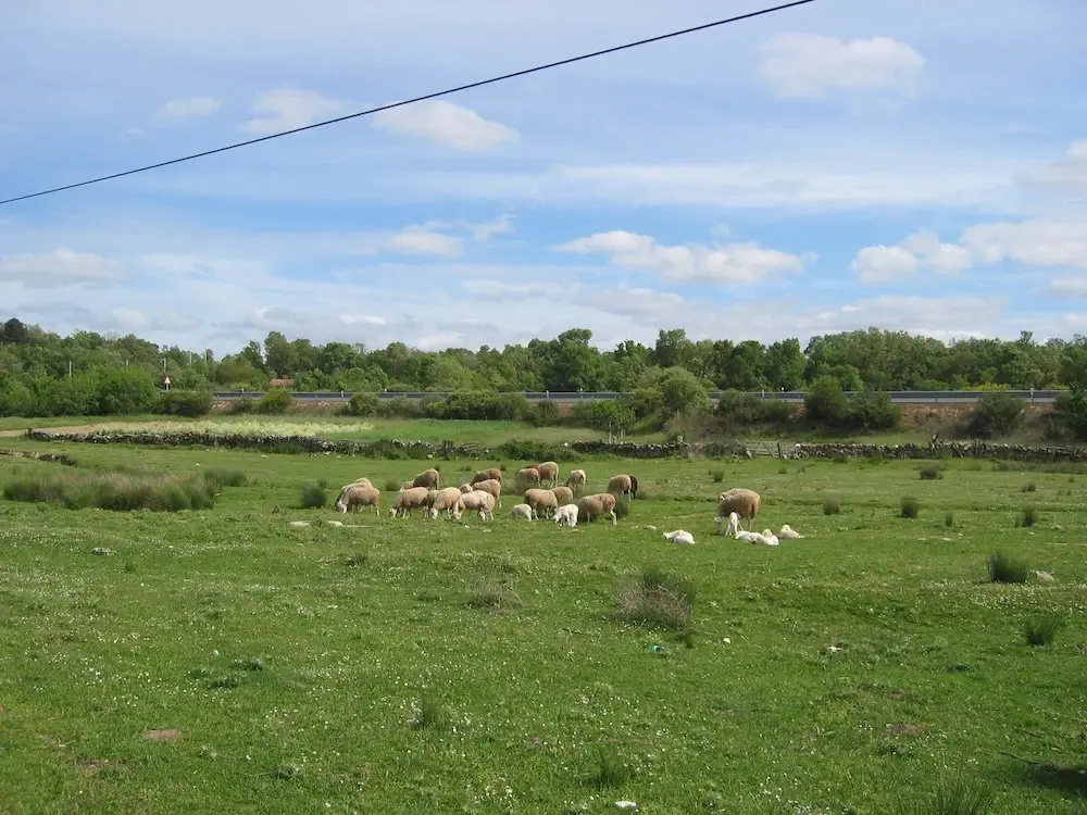 Centro de Turismo Rural Lajafriz