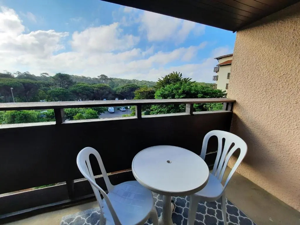 Appartement Seignosse, 2 pièces, 4 personnes - FR-1-239-144