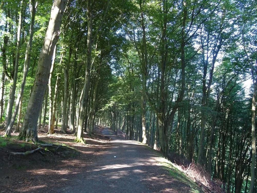 Rural Retreat 2 Miles From Perth, Pets Welcome