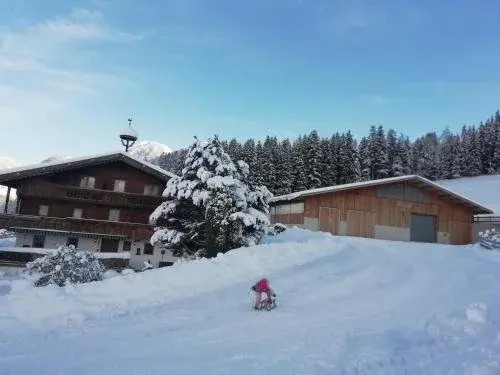 Bauernhof Angererhof