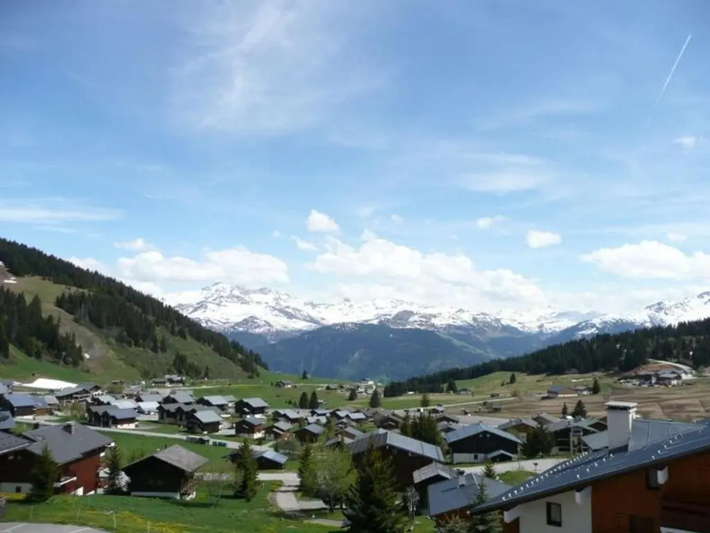 Appartement Les Saisies, 1 pièce, 4 personnes - FR-1-594-123