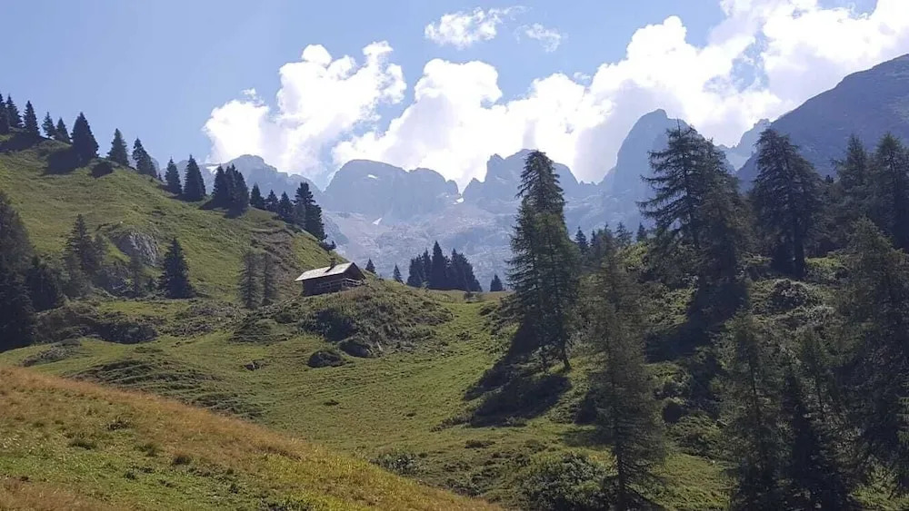 Hotel Alpina