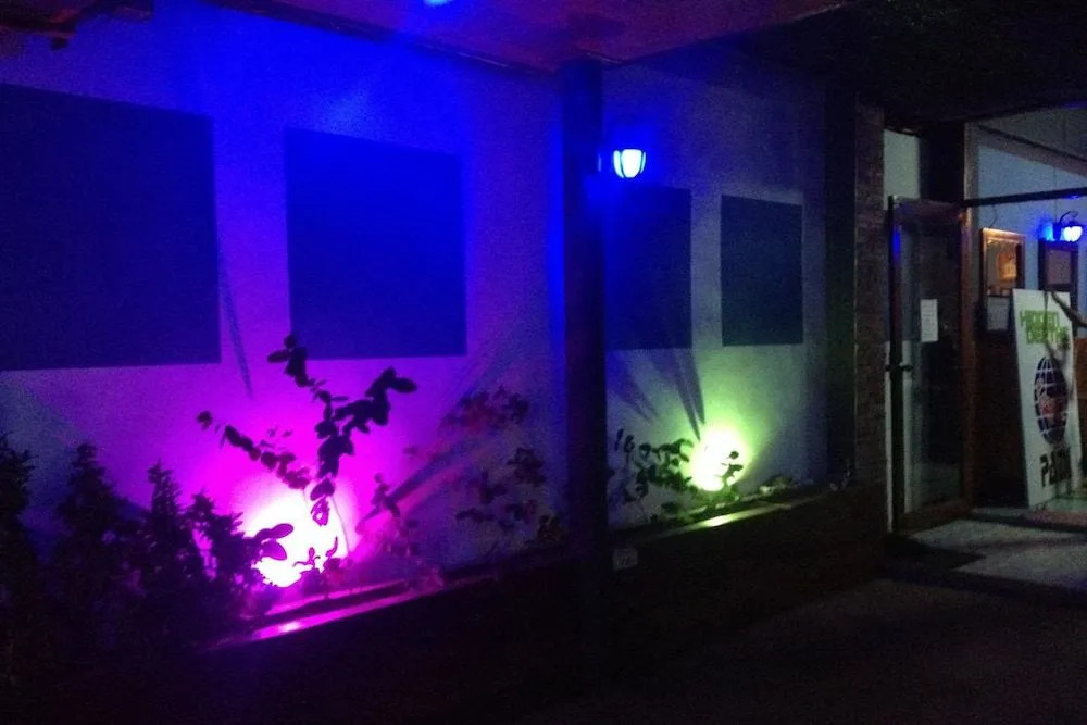 Paulee's House