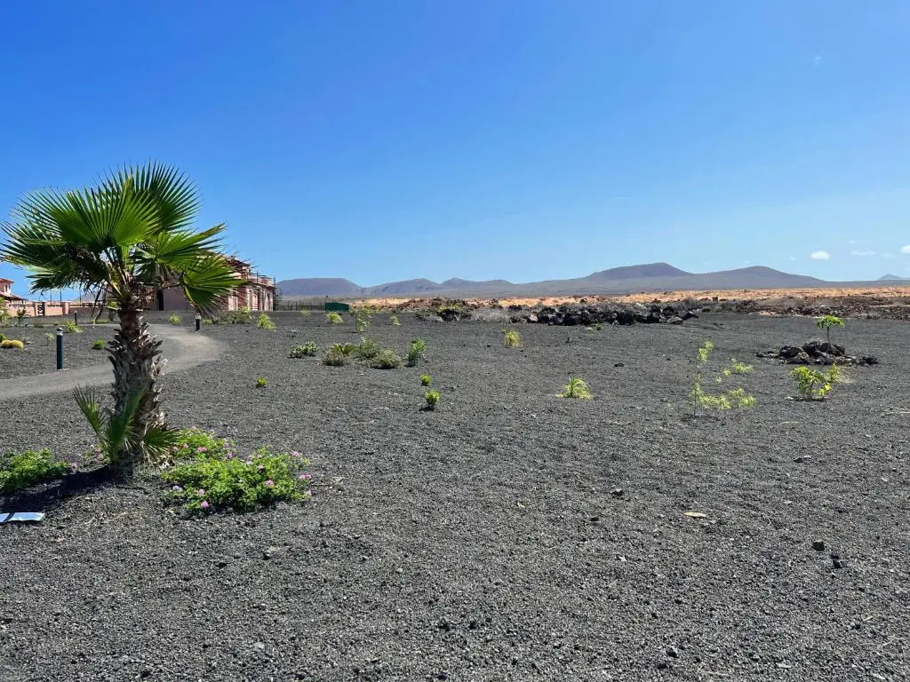 AliNico House Majanicho iRent Fuerteventura