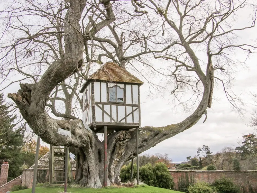 Treehouse Barn at Pitchford Estate