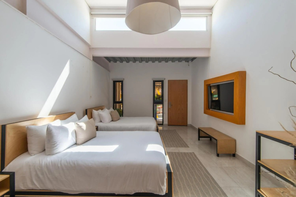 Mayan Monkey Los Cabos - Social Hostel