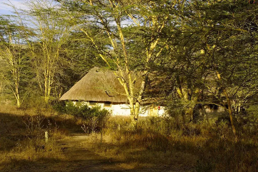 Kigio Wildlife Camp
