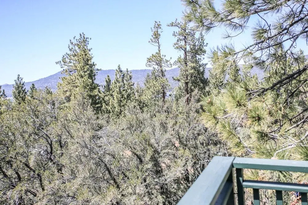 Reeves Cabin