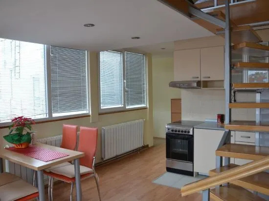Apartment Vladimir