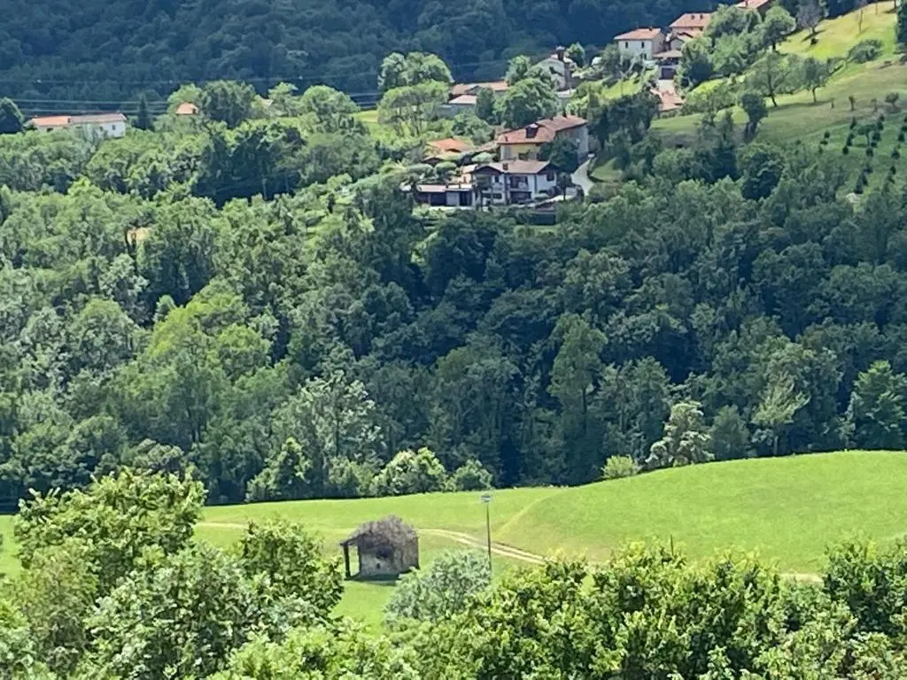 Cosy, pet Friendly Apartment in Netro, Piedmont