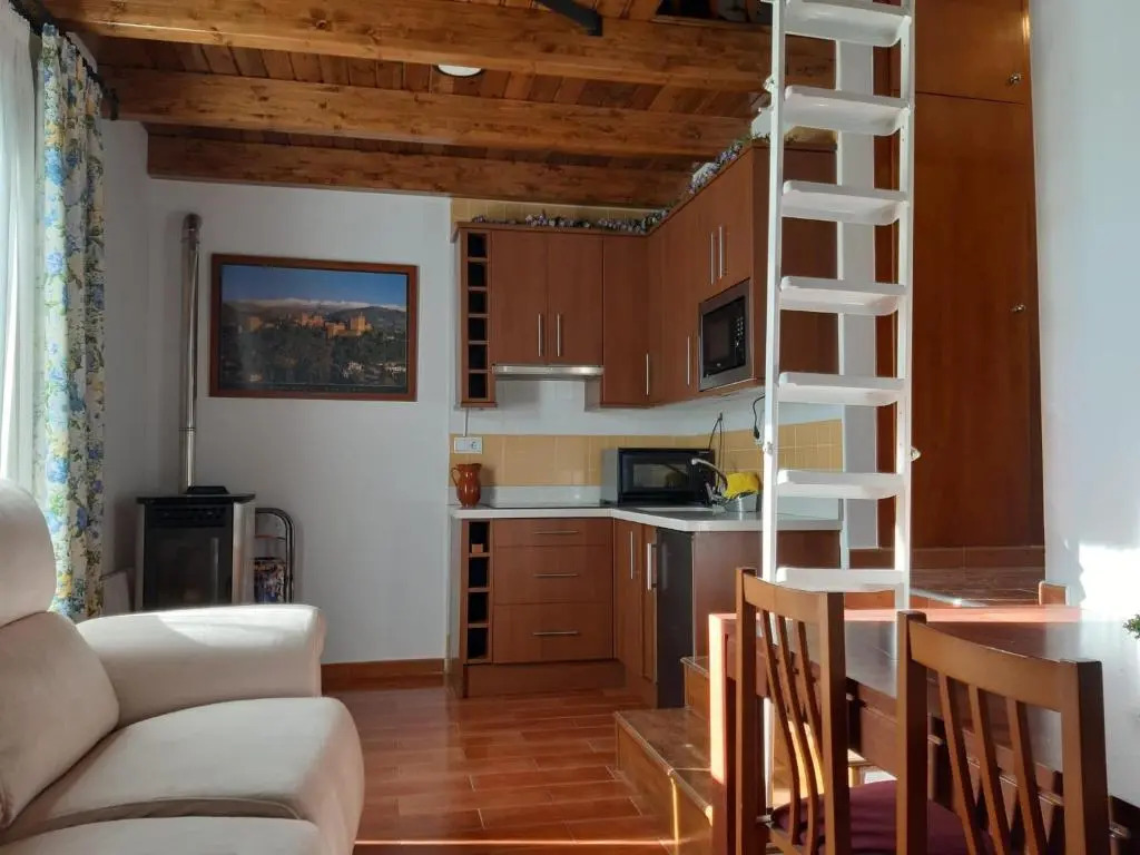 Apartamentos Domus