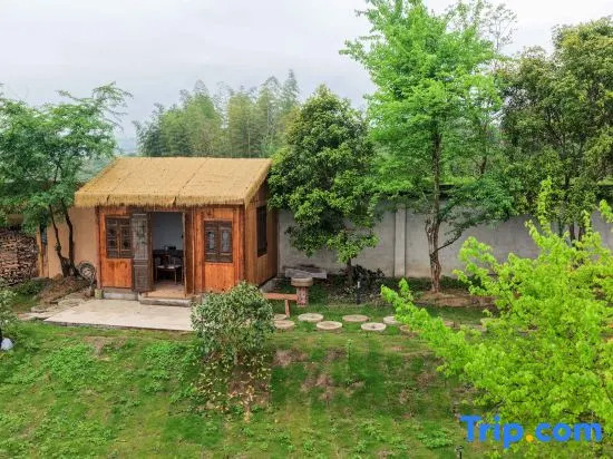 Green Fairy Camphor Resort Homestay