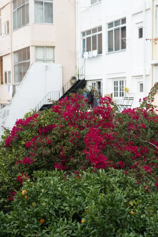 Flores Guest House