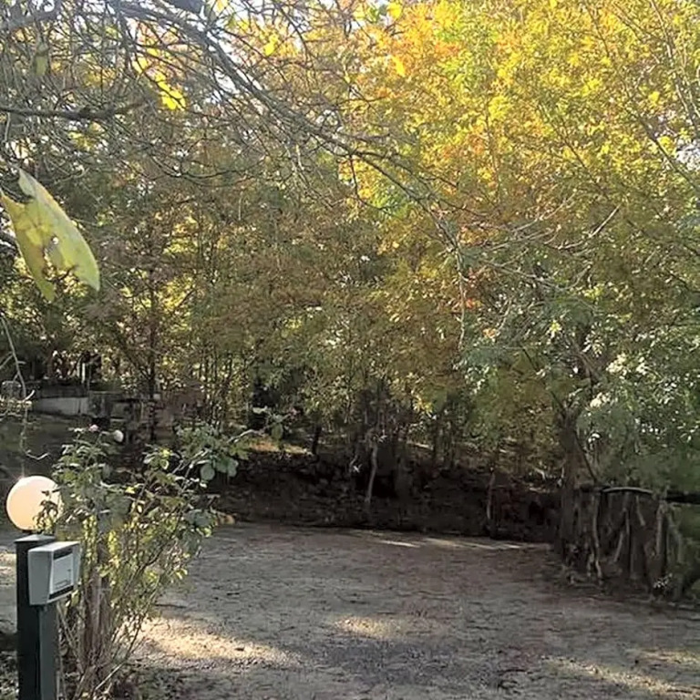 La casa nel bosco