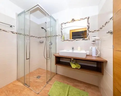 Appartement Pension Albert summercard and free parking included