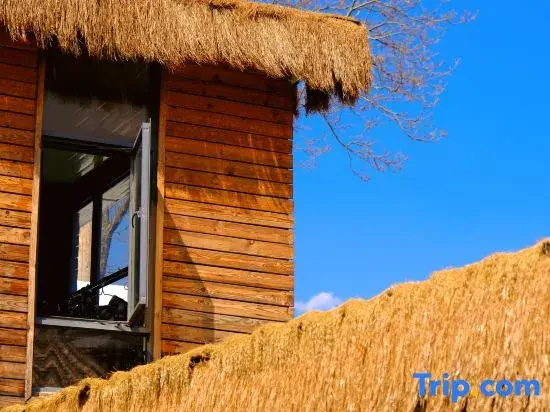 Manshe · Snow Mountain View Private Residence (Baisha Old Town Branch)