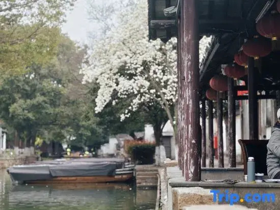 Under the Camphor Tree Sweetly Riverside Vacation Apartment