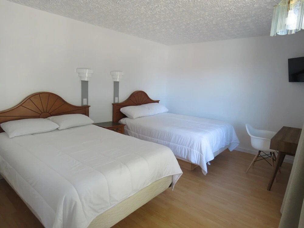 M Motel & Suites