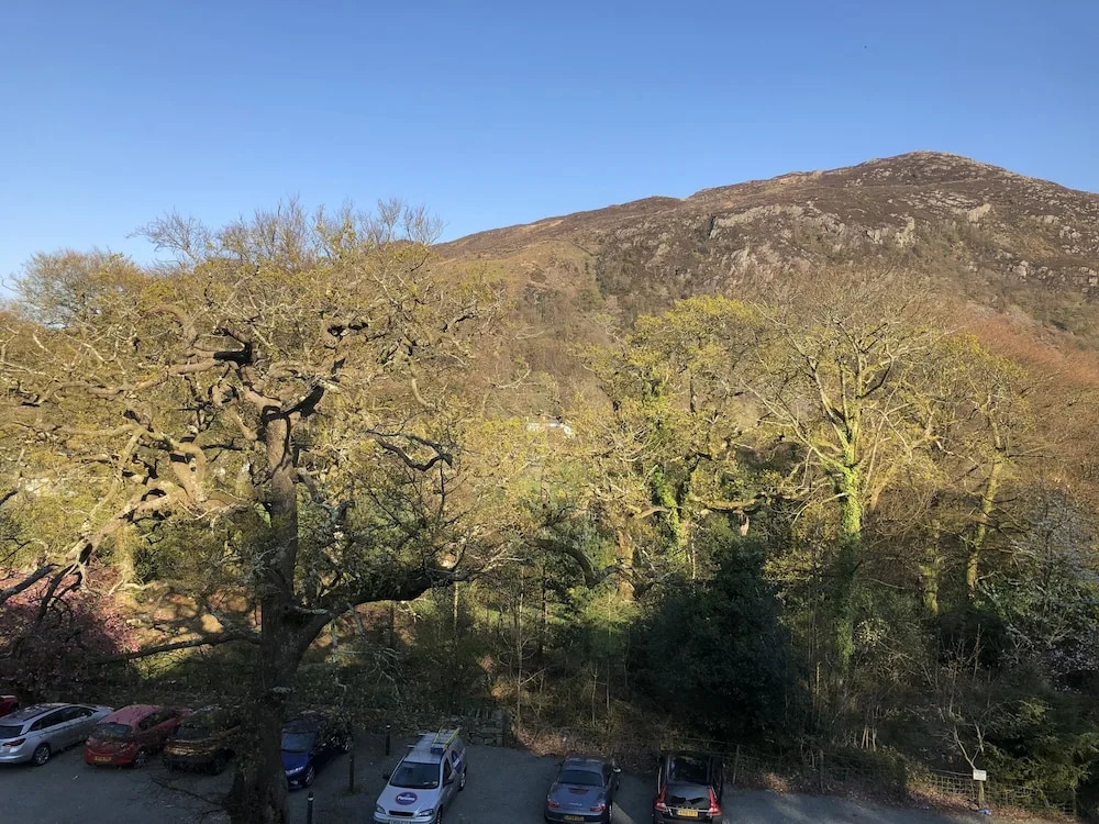 Royal Goat Hotel