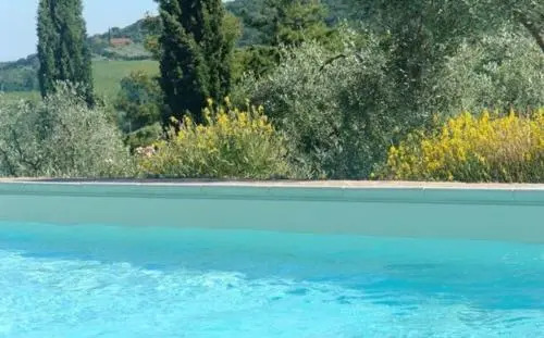 Le Sodole