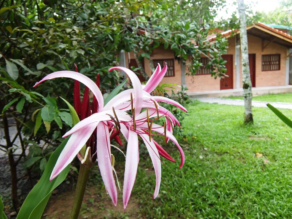 Cat Tien Farm Stay