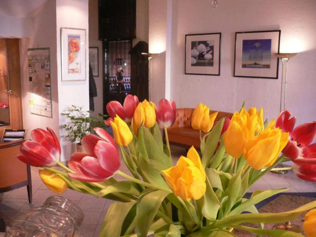 City Hotel