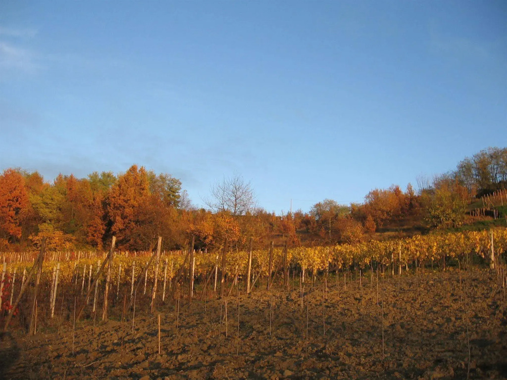 Agriturismo Cascina Tollu