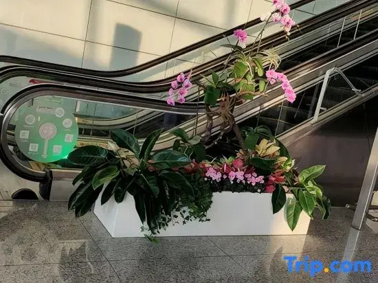 Xinzheng Yunduan Mi Yi Hui'er Temporary Stay Accommodation (Xinzheng International Airport)