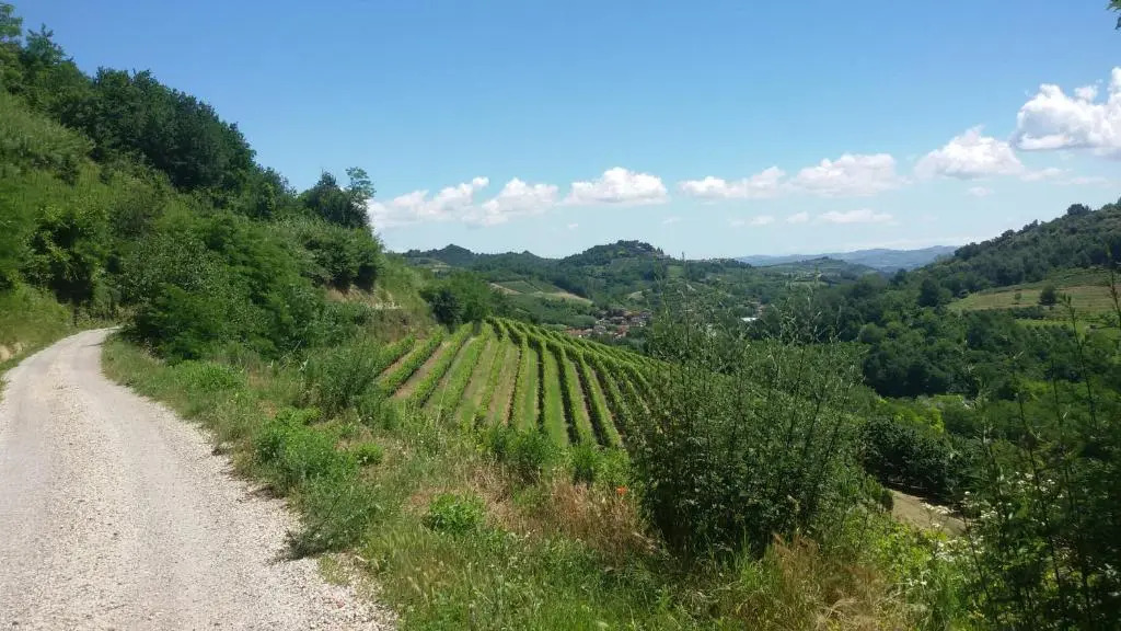 La Collina dei Passeri