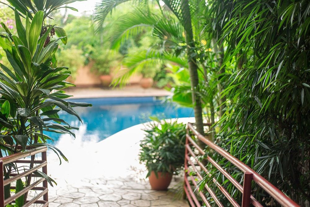 La Cour Hotels and Apartments Cooper