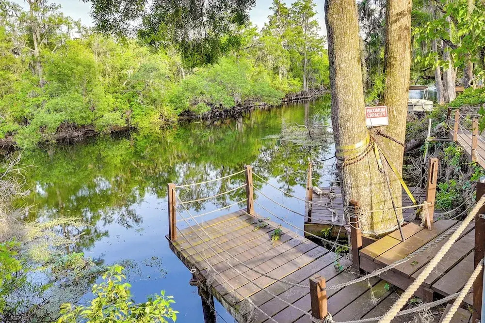 Spacious Tampa Vacation Rental w/ Pool & Dock