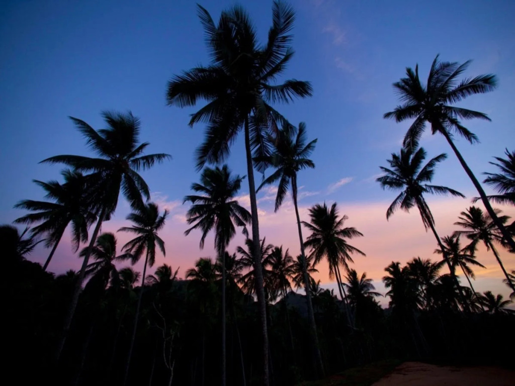 Jims Farm Villas
