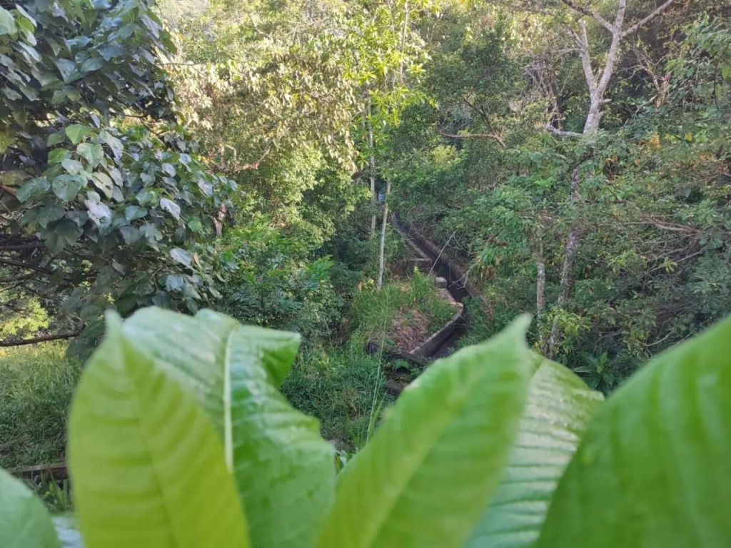 Little wood villa Doluwa
