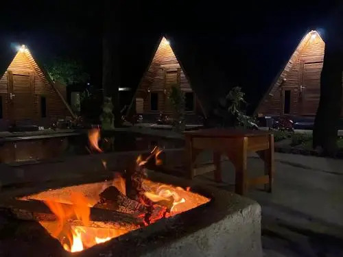 Triangle House