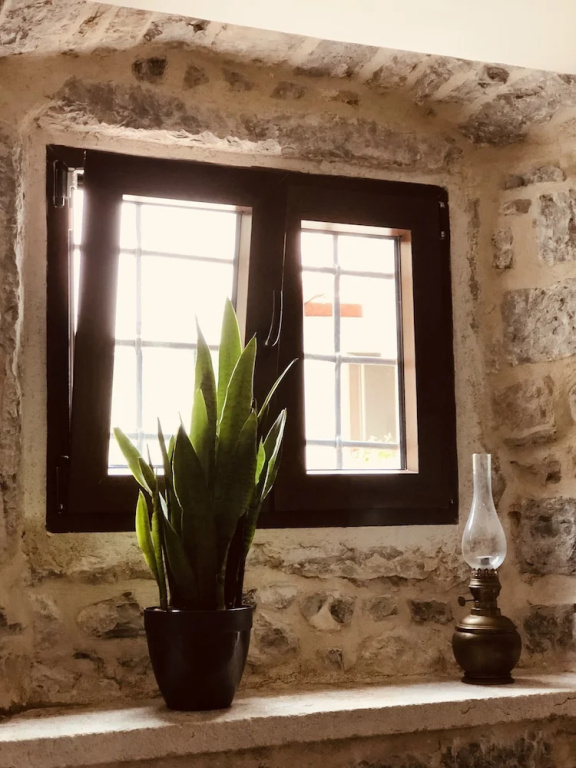 Guesthouse Giraffe