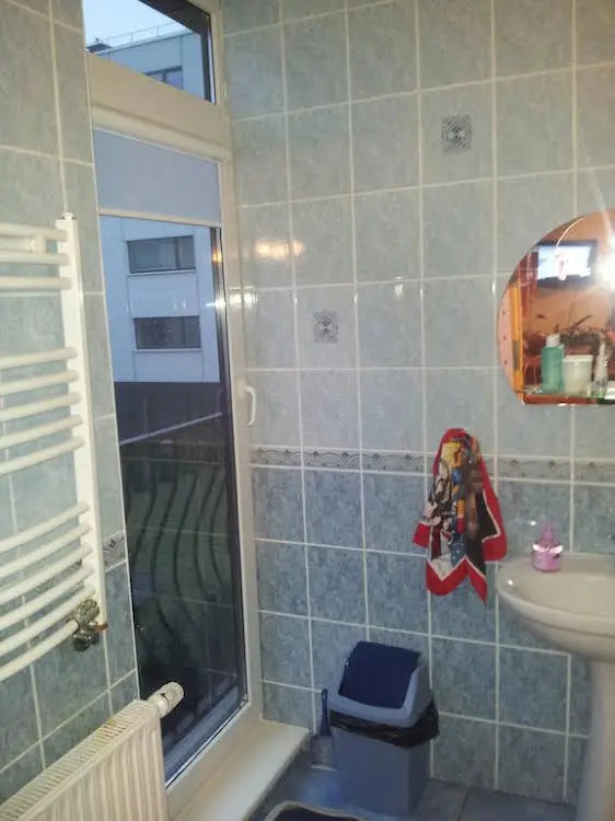 Pas Birutę