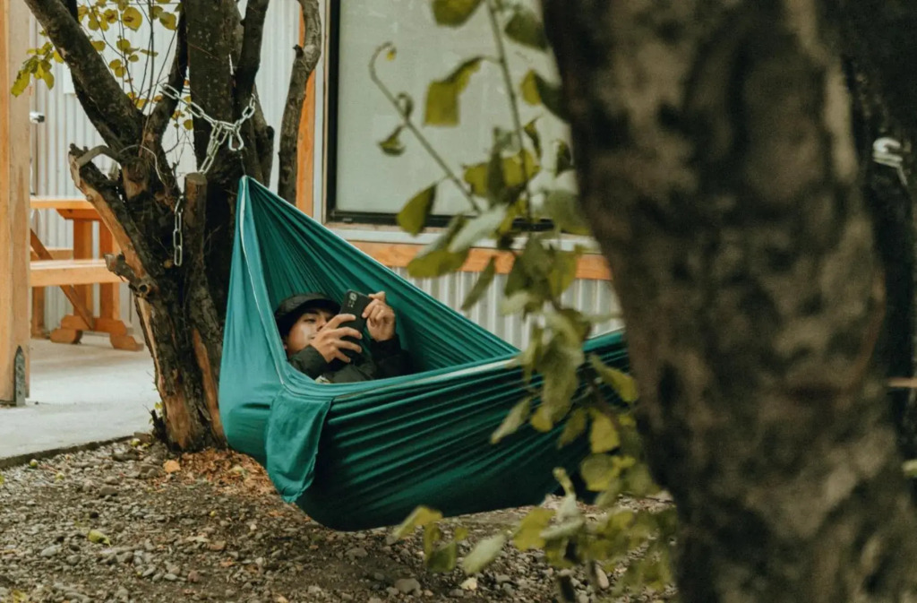 Camping Yellow Plum