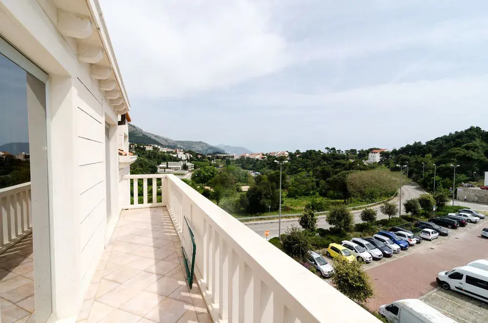 Cocoon Hostel