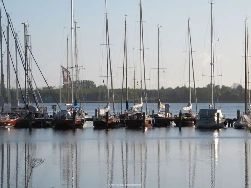 Schwanen Herz