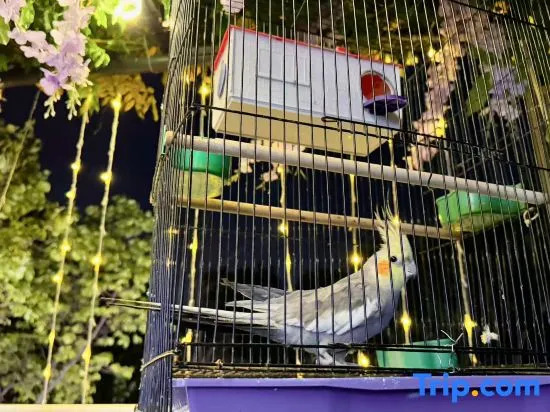 Floral Hotel·Suyu Jianju homestay (Hongmen Dengkou Store in Mount Taishan Scenic Area)