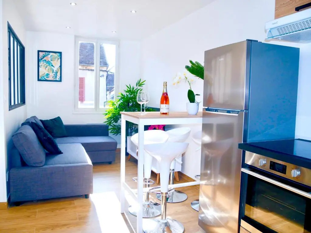 Oasis Au Coeur de Ville Sens (Adults Only)