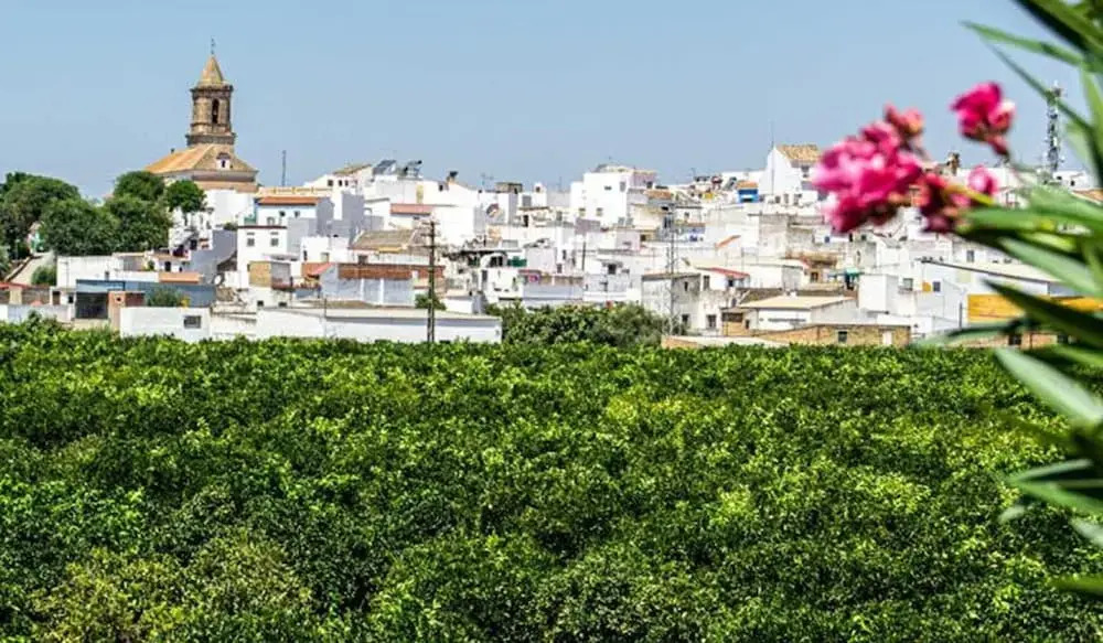 Santa Angela de la Cruz Apartment