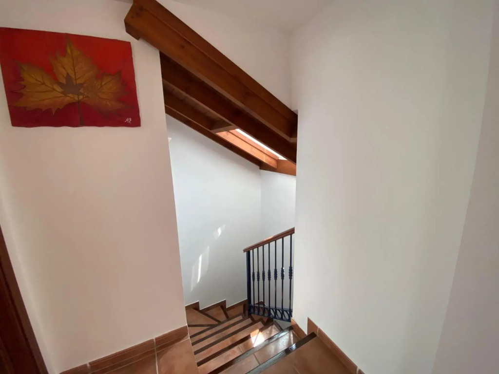 Charming 1 bedroom suite next to Puerto Banus