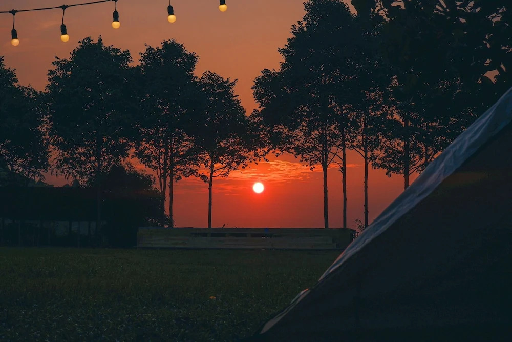 Toom Sara Forest Stay - Danang