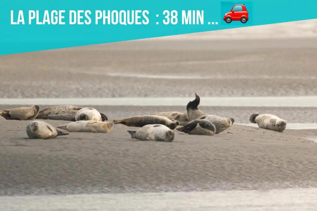 Les Penates de Camiers